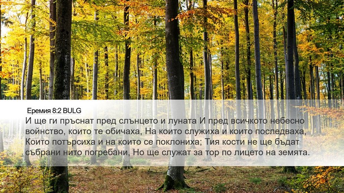 Еремия 8:2 BULG Bible Verse Image