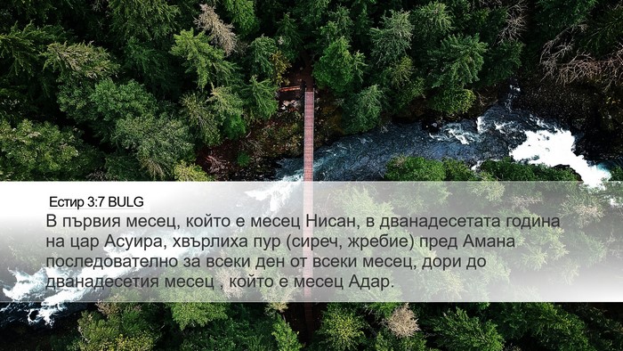Естир 3:7 BULG Bible Verse Image