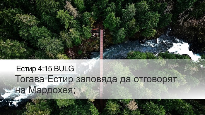 Естир 4:15 BULG Desktop Wallpaper - Тогава Естир заповяда да - Desktop Bible Verse Wallpaper