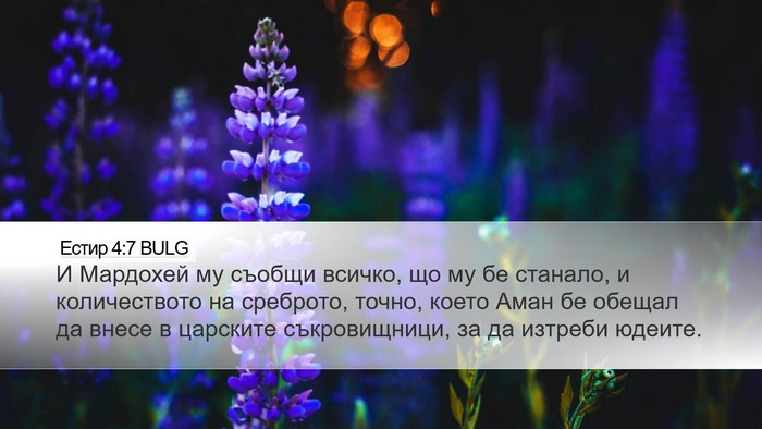Естир 4:7 BULG Bible Verse Image