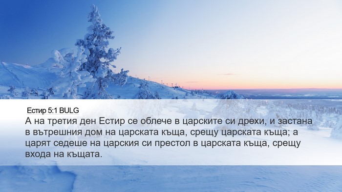 Естир 5:1 BULG Bible Verse Image