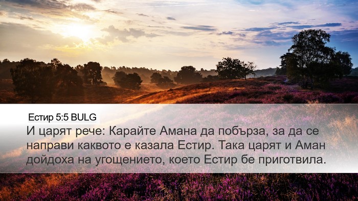 Естир 5:5 BULG Desktop Wallpaper - И царят рече: Карайте Амана - Desktop Bible Verse Wallpaper