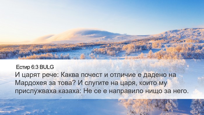 Естир 6:3 BULG Bible Verse Image