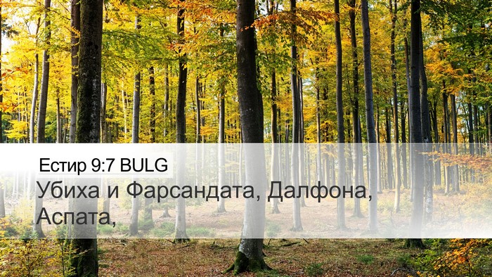 Естир 9:7 BULG Bible Verse Image