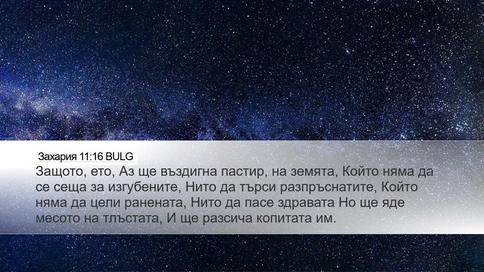 Захария 11:16 BULG Bible Verse Image