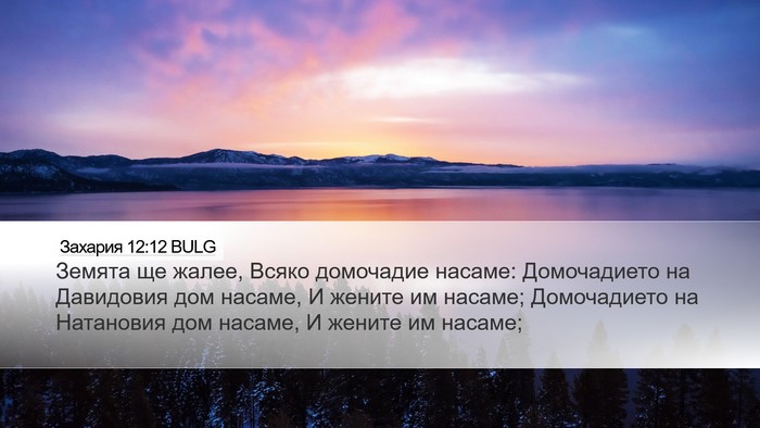 Захария 12:12 BULG Bible Verse Image