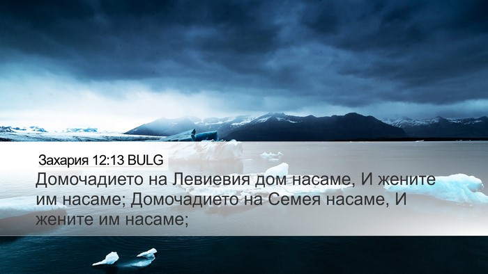 Захария 12:13 BULG Bible Verse Image