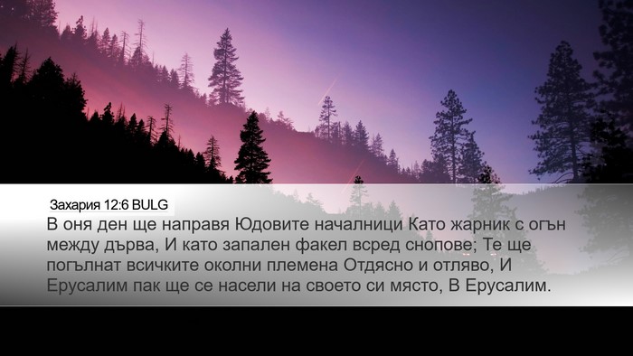 Захария 12:6 BULG Bible Verse Image
