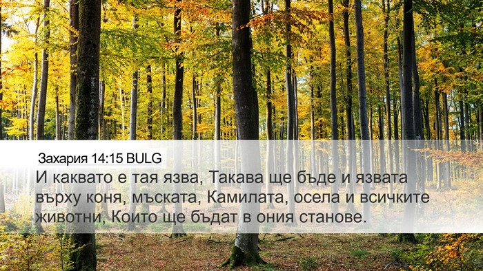 Захария 14:15 BULG Bible Verse Image