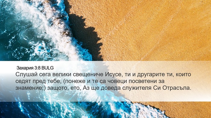 Захария 3:8 BULG Bible Verse Image