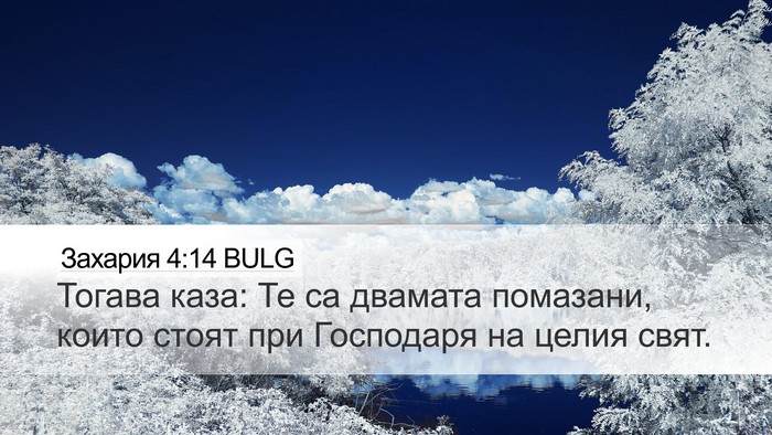 Захария 4:14 BULG Bible Verse Image