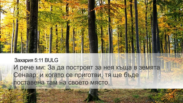 Захария 5:11 BULG Bible Verse Image