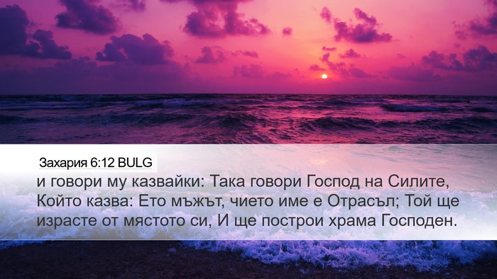 Захария 6:12 BULG Bible Verse Image