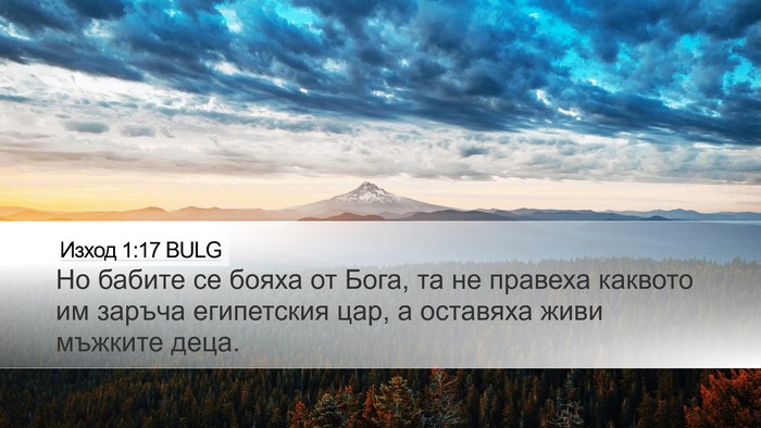 Изход 1:17 BULG Bible Verse Image