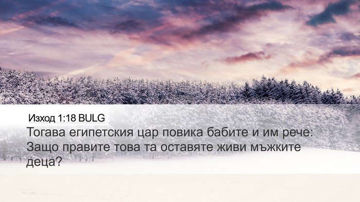 Изход 1:18 BULG Desktop Wallpaper - Тогава египетския цар - Desktop Bible Verse Wallpaper