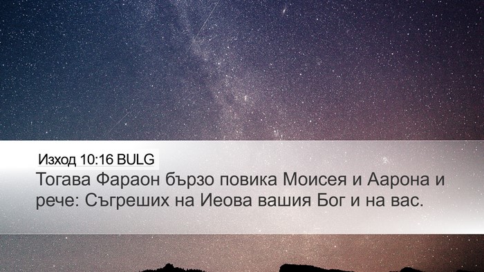 Изход 10:16 BULG Bible Verse Image