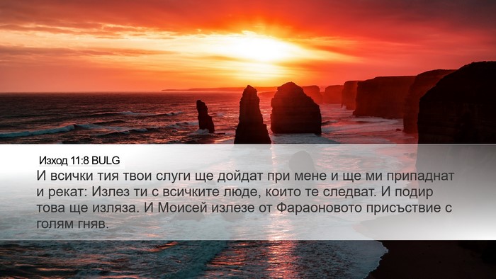 Изход 11:8 BULG Bible Verse Image