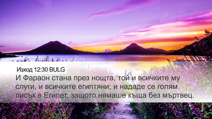 Изход 12:30 BULG Bible Verse Image