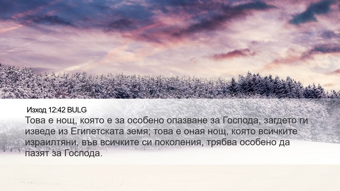 Изход 12:42 BULG Desktop Wallpaper - Това е нощ, която е за - Desktop Bible Verse Wallpaper