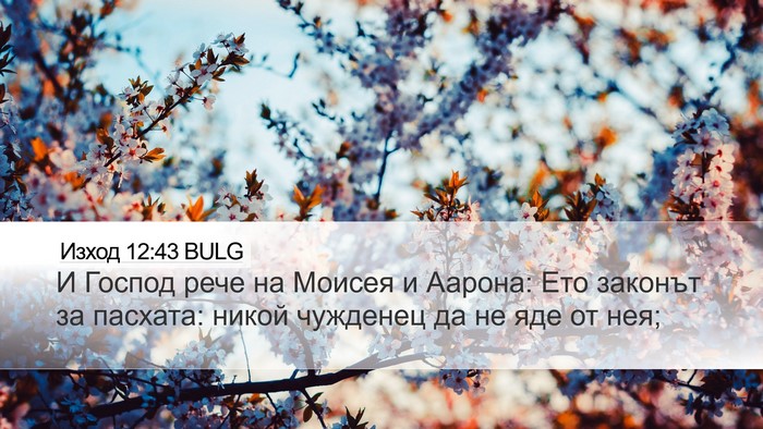 Изход 12:43 BULG Bible Verse Image
