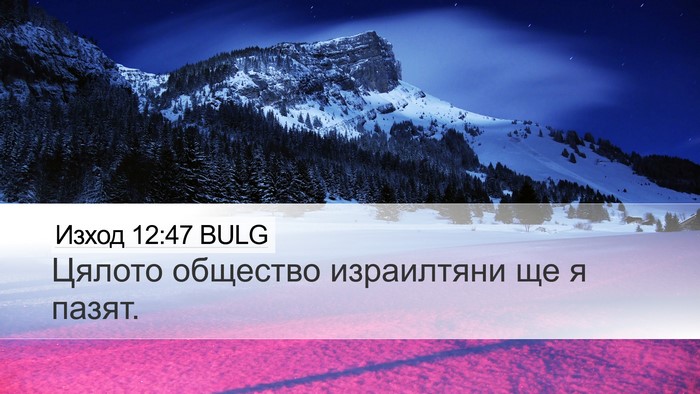 Изход 12:47 BULG Bible Verse Image
