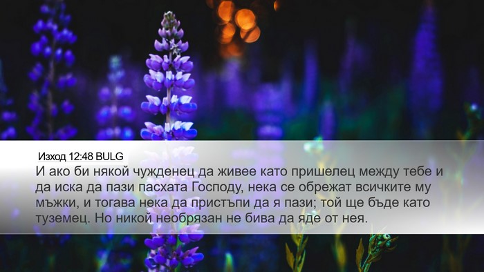 Изход 12:48 BULG Bible Verse Image