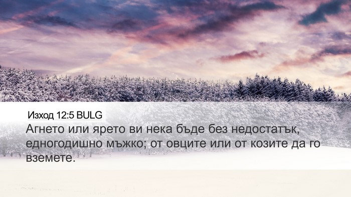 Изход 12:5 BULG Bible Verse Image