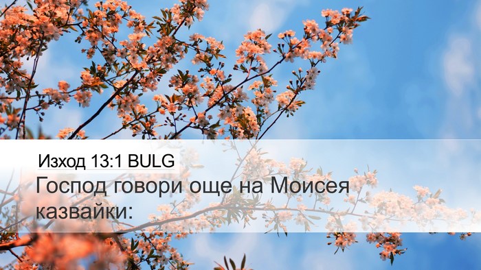 Изход 13:1 BULG Desktop Wallpaper - Господ говори още на - Desktop Bible Verse Wallpaper