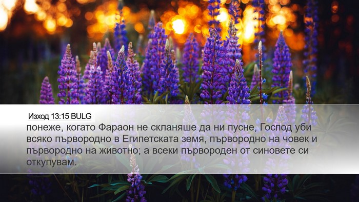 Изход 13:15 BULG Bible Verse Image