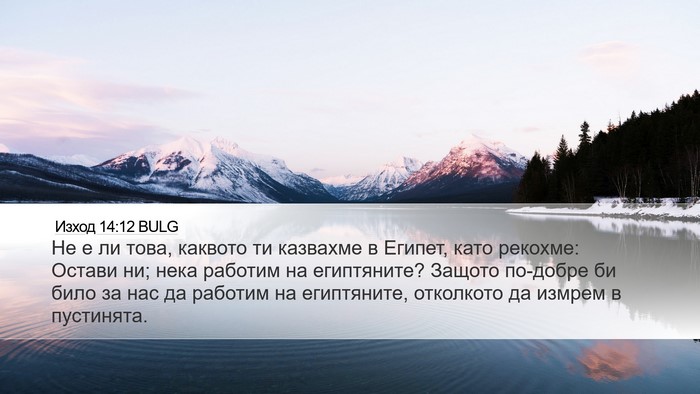 Изход 14:12 BULG Bible Verse Image