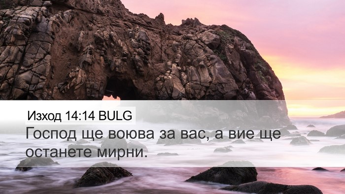 Изход 14:14 BULG Bible Verse Image