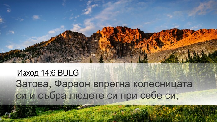 Изход 14:6 BULG Bible Verse Image