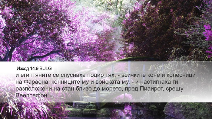Изход 14:9 BULG Bible Verse Image