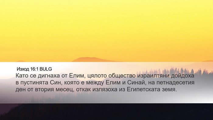 Изход 16:1 BULG Bible Verse Image