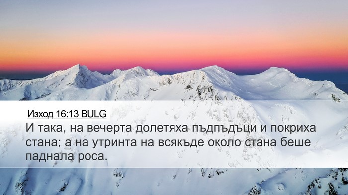 Изход 16:13 BULG Bible Verse Image