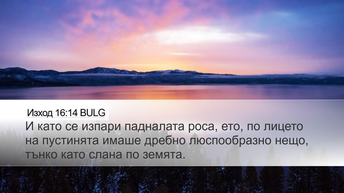 Изход 16:14 BULG Bible Verse Image
