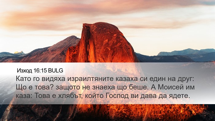Изход 16:15 BULG Bible Verse Image
