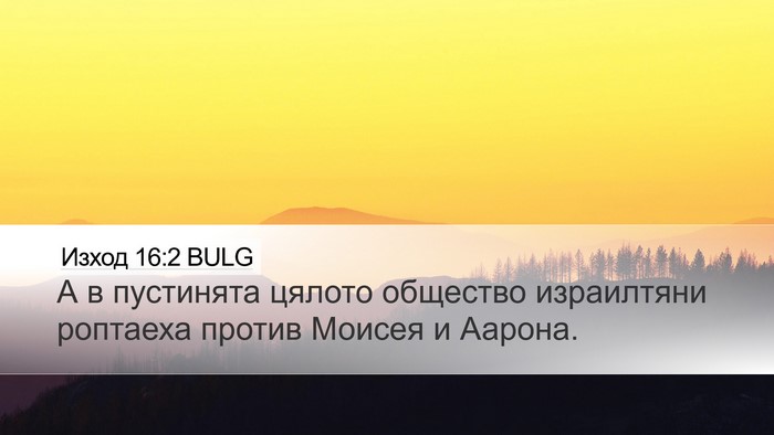 Изход 16:2 BULG Bible Verse Image