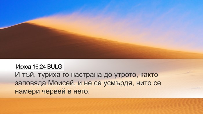 Изход 16:24 BULG Desktop Wallpaper - И тъй, туриха го настрана - Desktop Bible Verse Wallpaper