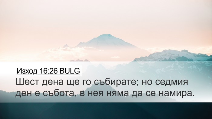 Изход 16:26 BULG Desktop Wallpaper - Шест дена ще го събирате; - Desktop Bible Verse Wallpaper
