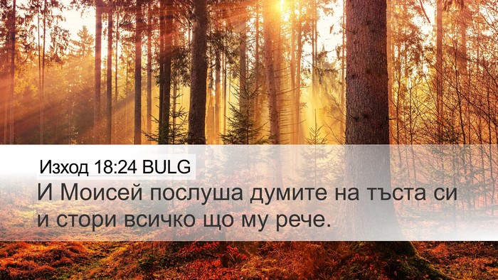 Изход 18:24 BULG Desktop Wallpaper - И Моисей послуша думите на - Desktop Bible Verse Wallpaper