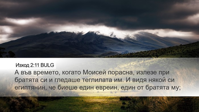 Изход 2:11 BULG Bible Verse Image