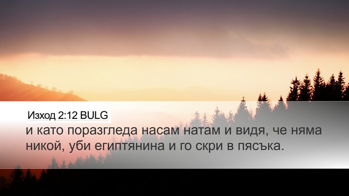 Изход 2:12 BULG Bible Verse Image