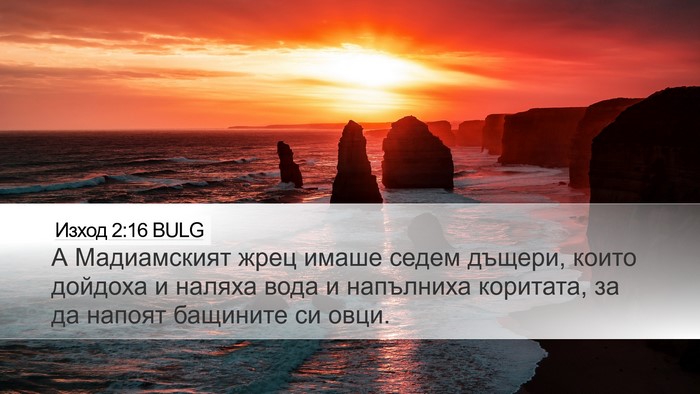 Изход 2:16 BULG Bible Verse Image