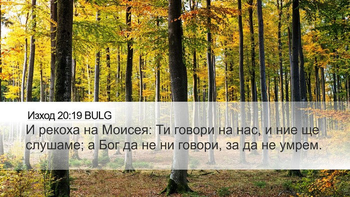 Изход 20:19 BULG Bible Verse Image
