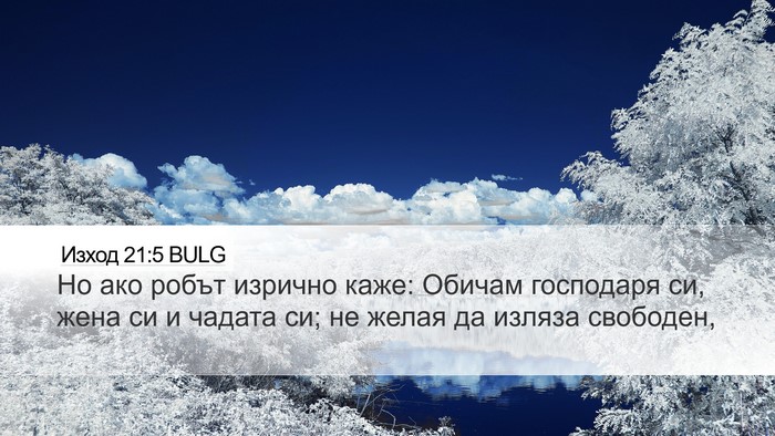 Изход 21:5 BULG Bible Verse Image