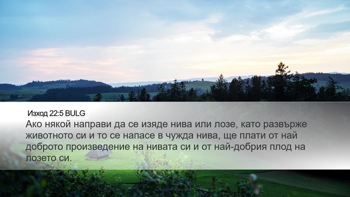 Изход 22:5 BULG Desktop Wallpaper - Ако някой направи да се - Desktop Bible Verse Wallpaper