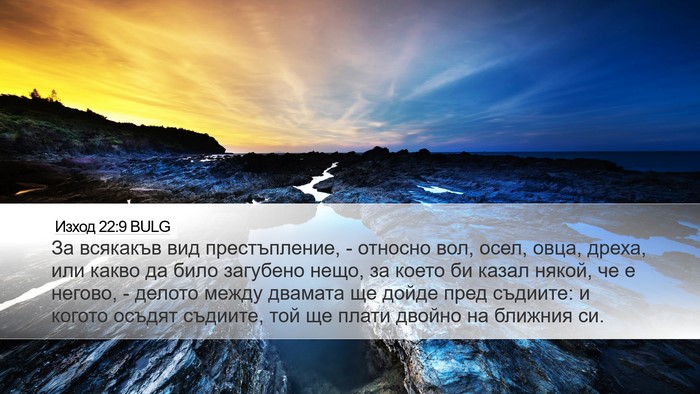 Изход 22:9 BULG Bible Verse Image