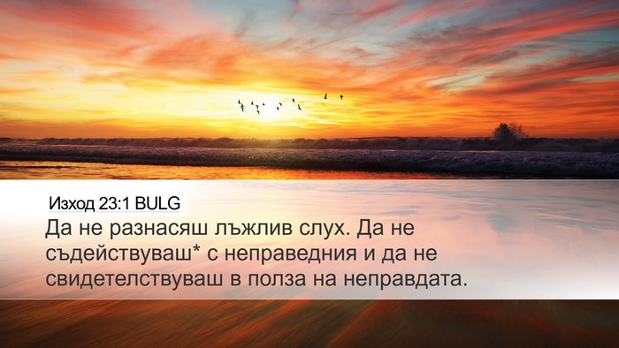 Изход 23:1 BULG Bible Verse Image