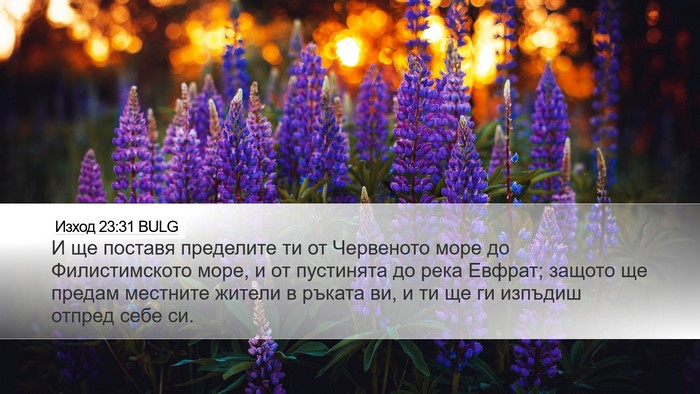 Изход 23:31 BULG Bible Verse Image